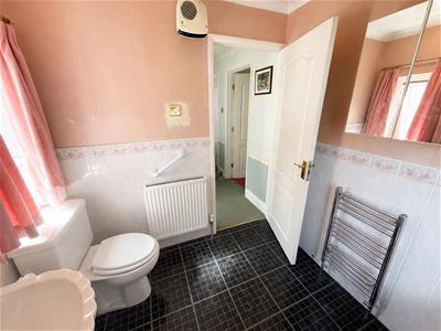 Picture 19